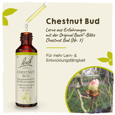 BACHBLÜTEN Chestnut Bud Tropfen