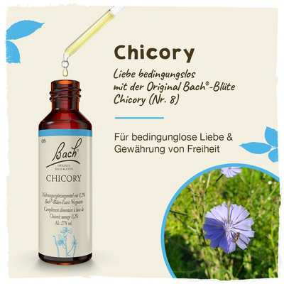 BACHBLÜTEN Chicory Tropfen