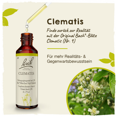 BACHBLÜTEN Clematis Tropfen