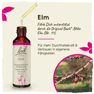 BACHBLÜTEN Elm Tropfen