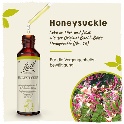 BACHBLÜTEN Honeysuckle Tropfen