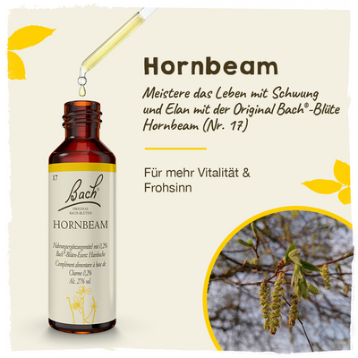 BACHBLÜTEN Hornbeam Tropfen