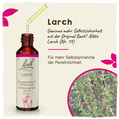 BACHBLÜTEN Larch Tropfen