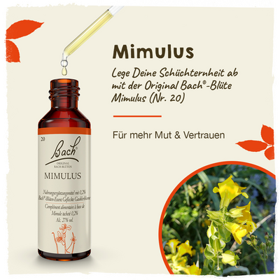BACHBLÜTEN Mimulus Tropfen