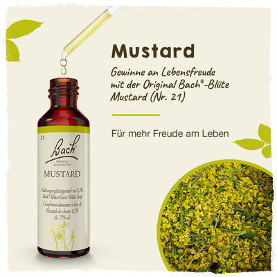 BACHBLÜTEN Mustard Tropfen