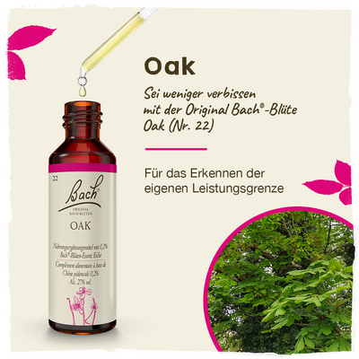 BACHBLÜTEN Oak Tropfen
