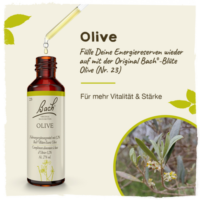 BACHBLÜTEN Olive Tropfen