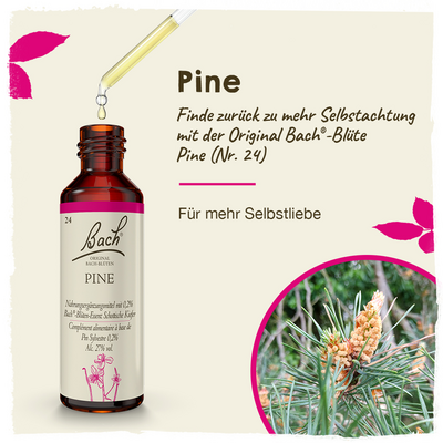 BACHBLÜTEN Pine Tropfen