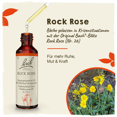 BACHBLÜTEN Rock Rose Tropfen