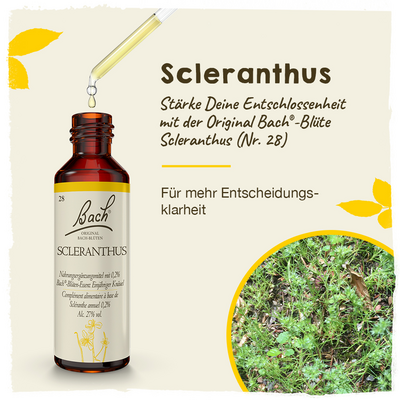 BACHBLÜTEN Scleranthus Tropfen