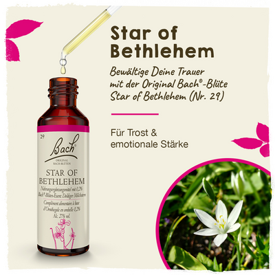 BACHBLÜTEN Star of Bethlehem Tropfen