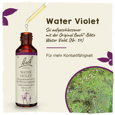 BACHBLÜTEN Water Violet Tropfen