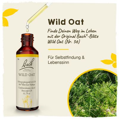 BACHBLÜTEN Wild Oat Tropfen