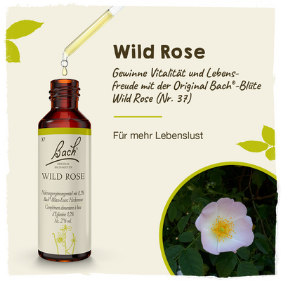 BACHBLÜTEN Wild Rose Tropfen