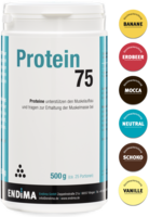 PROTEIN 75 Erdbeer Pulver