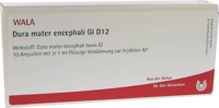 DURA MATER encephali GL D 12 Ampullen