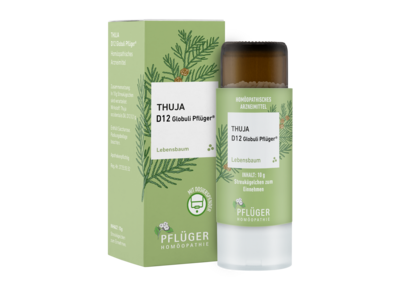 THUJA D 12 Globuli Pflüger Globulispender