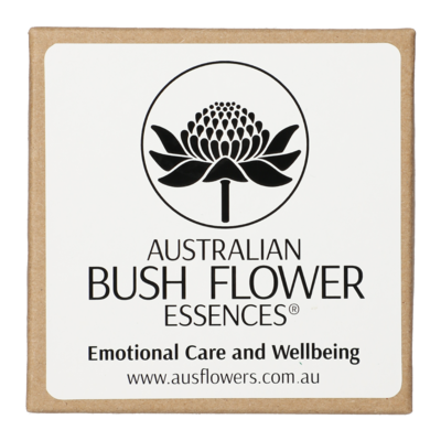 ADULT Angel Pendant clear glass