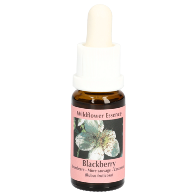 BROMBEERE Essenz Tropfen