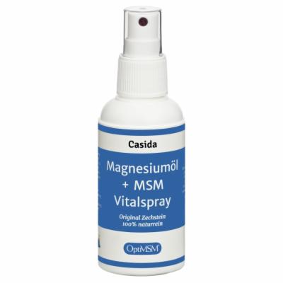 MAGNESIUMÖL+MSM Vitalspray Zechstein