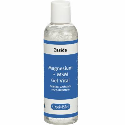 MAGNESIUM+MSM Gel Vital Zechstein