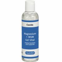 MAGNESIUM+MSM Gel Vital Zechstein